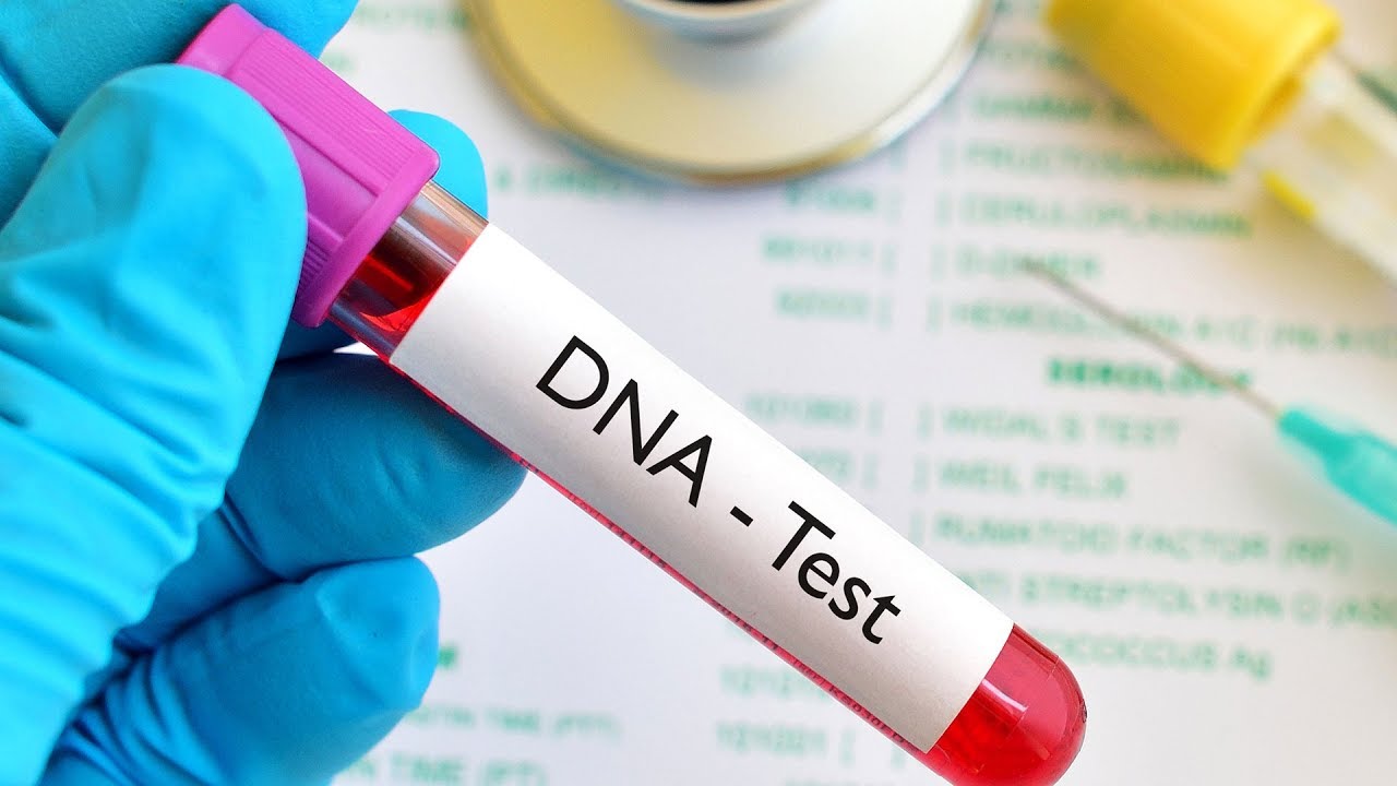 Legal Risks of At Home DNA Tests The Justice Journal